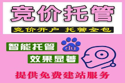 竞价托管全流程：某行业领军企业的成功经验